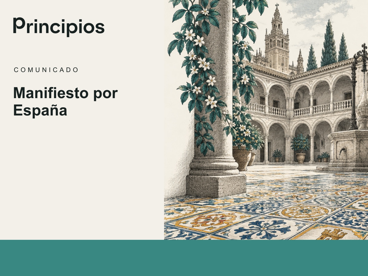 Ilustración editorial: Manifiesto por España