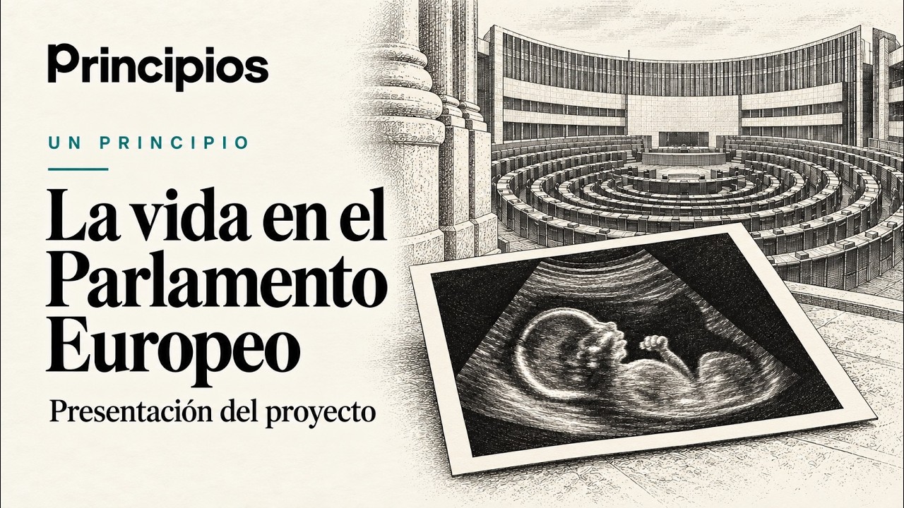 Ilustración editorial: Presentación del proyecto «Un Principio» en el Parlamento Europeo